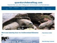 Screenshot des Blogs querdurchdenalltag.com