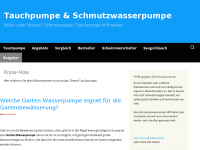 Screenshot des Blogs Schmutzwasserpumpe und Tauchpumpe Vergleich