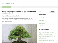 Screenshot des Blogs Informationen zur Bonsaipflege und zum Bonsaikauf