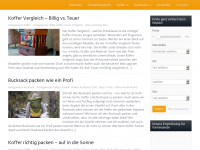Screenshot des Blogs Sunnys Shop