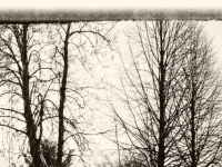 Screenshot des Blogs FoKu’s-Hobbyfotografie
