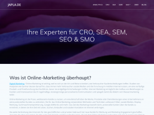 Screenshot des Blogs SEO,SEA,Usability und Social-Media – japla.de