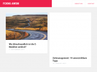 Screenshot des Blogs FCKNG AWSM