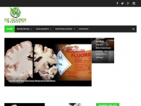 Screenshot des Blogs Die gesunde Wahrheit