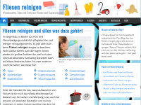 Screenshot des Blogs Fliesen reinigen