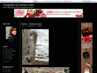 Screenshot des Blogs Meine Welt in Bildern