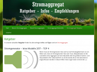 Screenshot des Blogs Stromerzeuger Infos