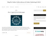 Screenshot des Blogs Blog vom Internet-Unternehmer Torsten Litzinger