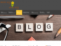 Screenshot des Blogs meinweg-deinweg