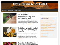 Screenshot des Blogs Tipps, Tricks & Ratgeber