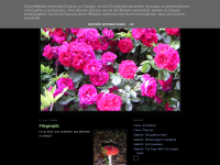 Screenshot des Blogs Beate Oeldenberger