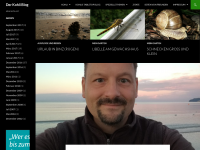 Screenshot des Blogs Der Kohli Blog