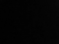 Screenshot des Blogs Trumpet Goes Wild