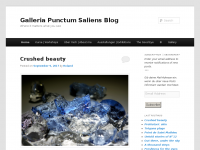 Screenshot des Blogs Punctum Gallery