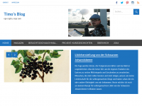 Screenshot des Blogs Timo’s Blog