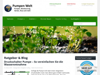 Screenshot des Blogs Pumpen Welt