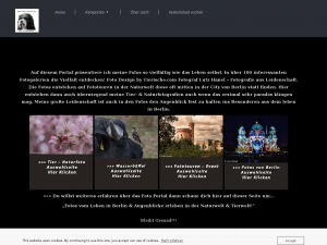 Screenshot des Blogs Tierischecom