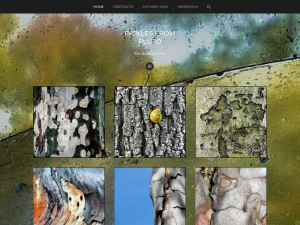 Screenshot des Blogs abstract365.de