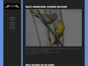 Screenshot des Blogs Fotos und Reiseberichte im Internet