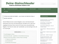 Screenshot des Blogs Deine Steinschleuder – Spaß für jung und alt