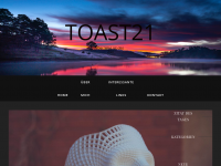 Screenshot des Blogs toast21