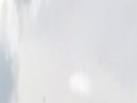 Screenshot des Blogs achimsgarten
