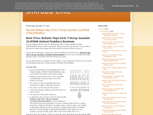 Screenshot des Blogs Silkroad-Elite