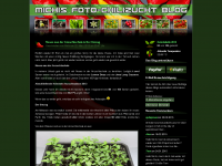 Screenshot des Blogs Michis (Foto)-Chilizucht Blog