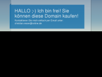 Screenshot des Blogs netaxo