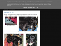 Screenshot des Blogs Stubentiger-Drunter und Drüber :o)