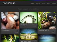 Screenshot des Blogs photoappar.at – eine Synthese von Technik und Kunst