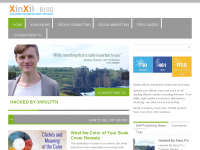 Screenshot des Blogs XinXii Blog