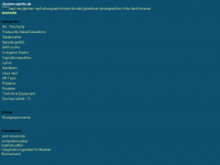 Screenshot des Blogs Broken-Spirits