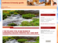Screenshot des Blogs Wellness & Beauty Guide