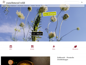 Screenshot des Blogs multikulinarisches