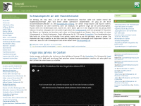 Screenshot des Blogs Totontli