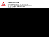 Screenshot des Blogs Benzin im Blut