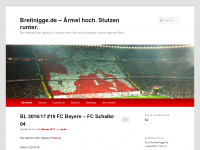 Screenshot des Blogs Breitnigge