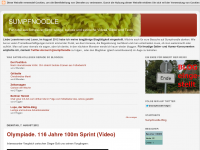 Screenshot des Blogs sumpfnoodle