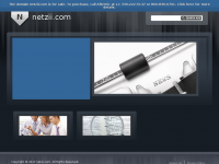 Screenshot des Blogs Netzii