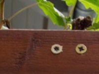 Screenshot des Blogs Gartenmaus