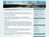 Screenshot des Blogs Wellness Hotels und Wellnessreisen