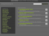 Screenshot des Blogs Erfolgreiche Blogs