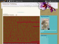 Screenshot des Blogs Nataschas Politikblog