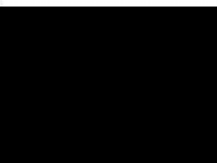 Screenshot des Blogs Pseudonachrichten