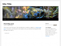 Screenshot des Blogs Jostyknowsbest