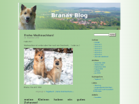 Screenshot des Blogs Branas Blog