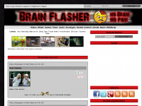 Screenshot des Blogs BrainFlasher