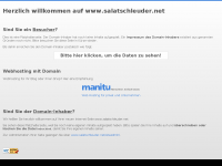 Screenshot des Blogs Salatschleuder