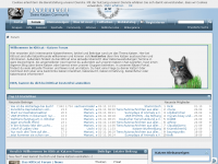 Screenshot des Blogs Kitticat – Katzenforum und Portal